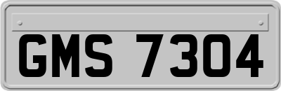 GMS7304