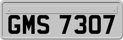 GMS7307