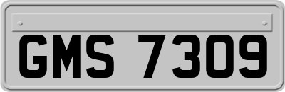 GMS7309