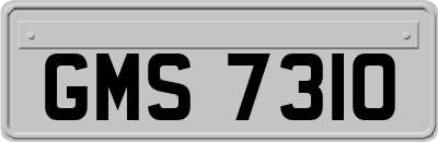 GMS7310