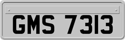 GMS7313
