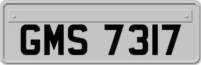 GMS7317