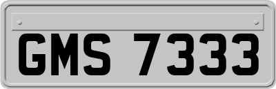 GMS7333