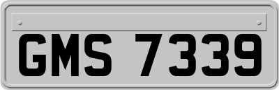 GMS7339