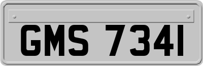 GMS7341