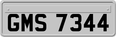 GMS7344