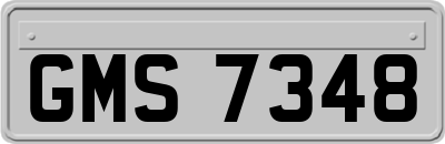 GMS7348