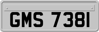 GMS7381