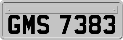 GMS7383