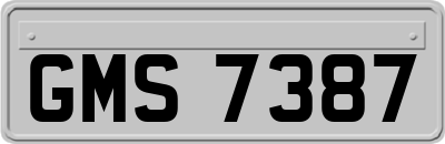 GMS7387
