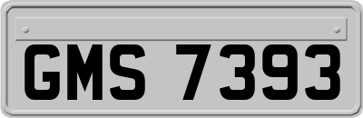 GMS7393