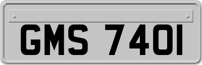 GMS7401
