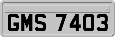 GMS7403