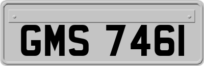 GMS7461