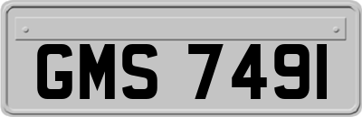 GMS7491