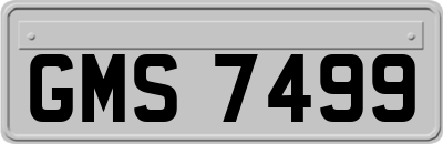 GMS7499