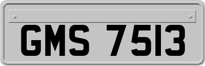 GMS7513