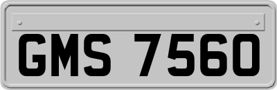 GMS7560