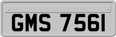 GMS7561