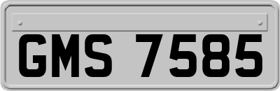 GMS7585