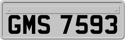 GMS7593