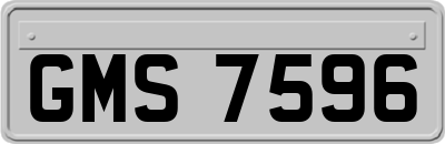 GMS7596