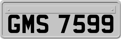 GMS7599