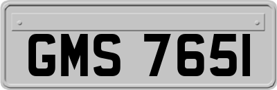 GMS7651
