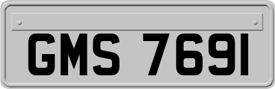 GMS7691