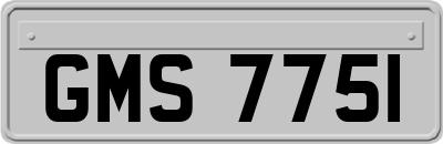 GMS7751
