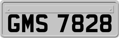 GMS7828