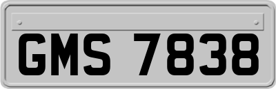 GMS7838