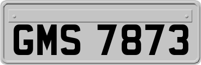 GMS7873