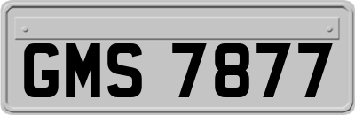 GMS7877