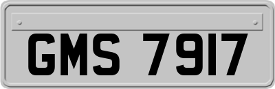 GMS7917