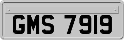 GMS7919