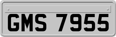 GMS7955