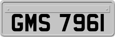 GMS7961