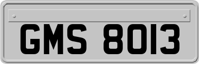 GMS8013