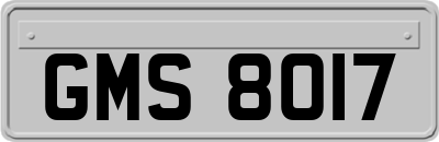 GMS8017