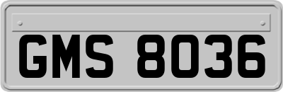 GMS8036