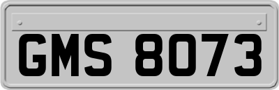 GMS8073