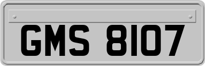 GMS8107