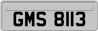 GMS8113