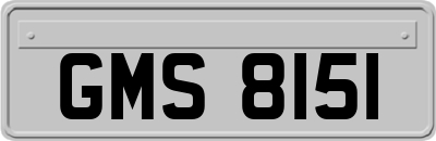 GMS8151