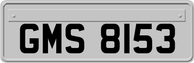 GMS8153
