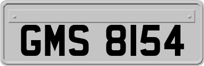 GMS8154
