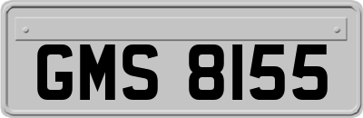 GMS8155