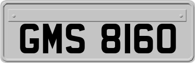 GMS8160
