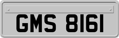 GMS8161